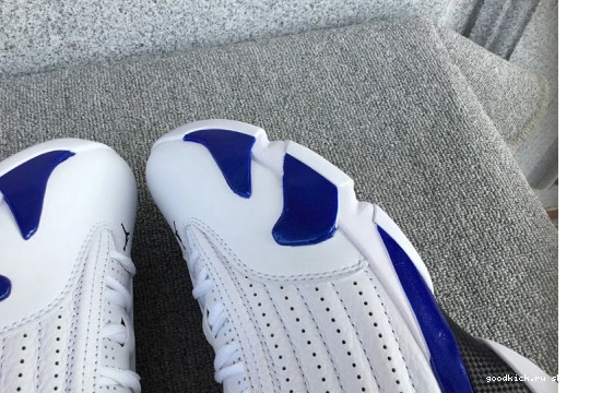 Air 14’Hyper AJ-14 Jordan Royal’ 0309